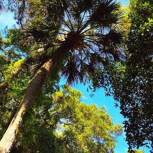 Meet your Posher, Annie